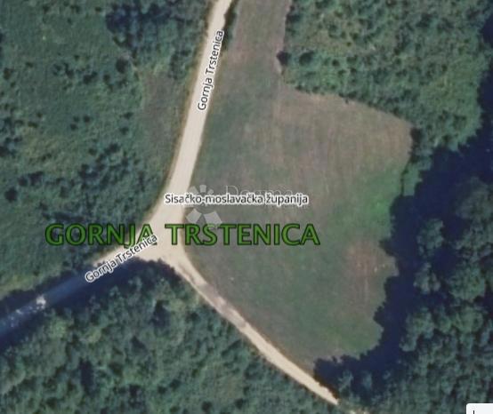 GORNJA TRSTENICA