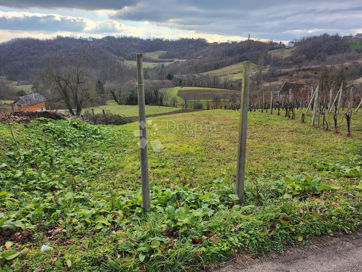 VIŠNJEVEC