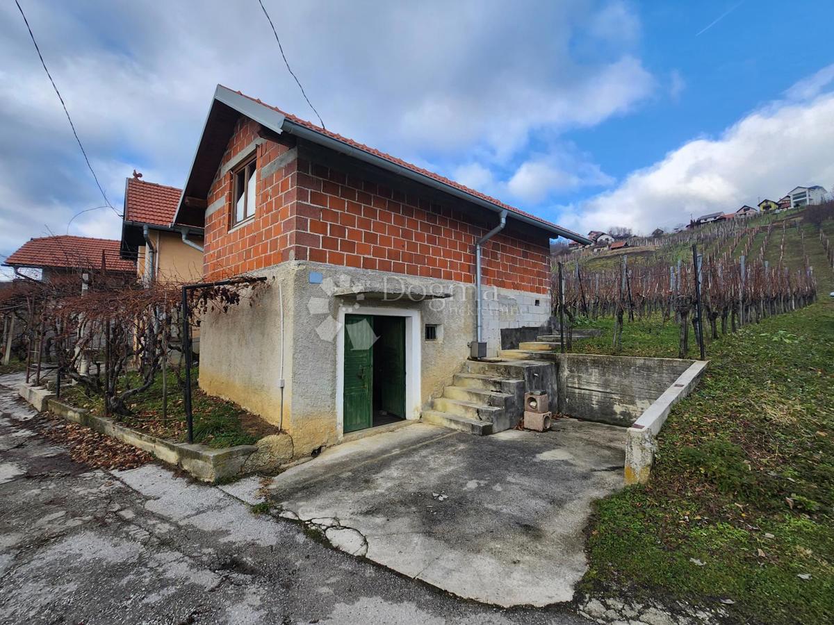 VIŠNJEVEC
