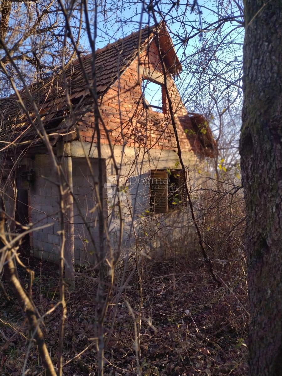 STIPAN
