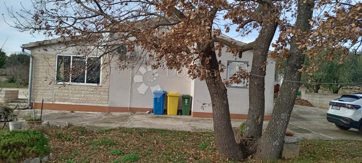 PERUŠKI