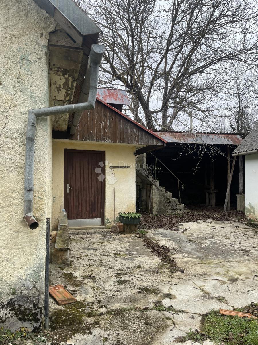 ŠVICA