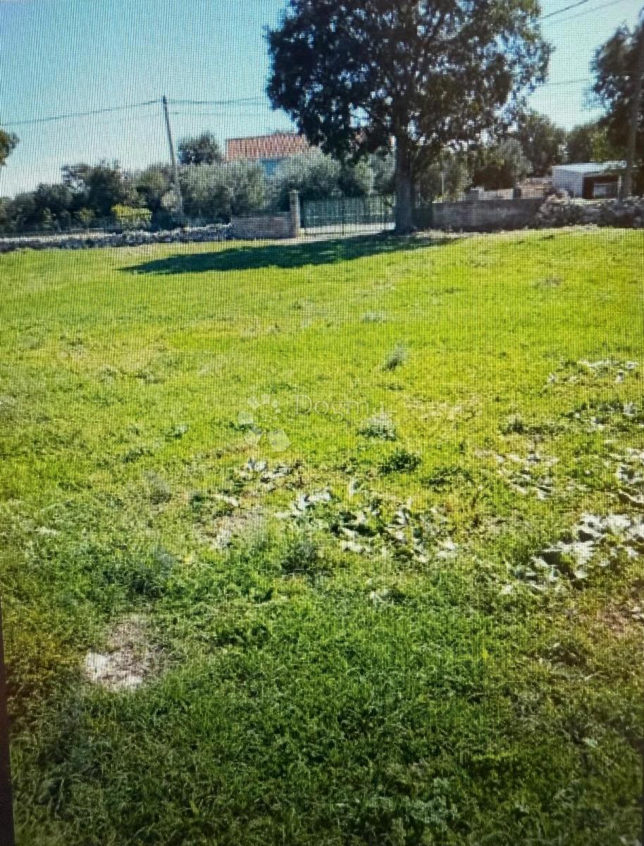 GORICA