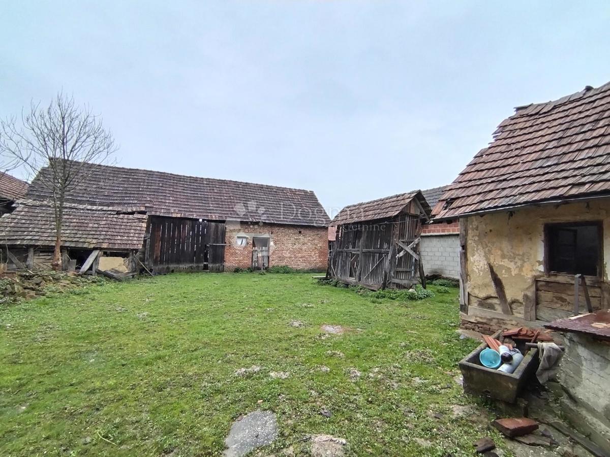 DUBRAVSKI MARKOVAC