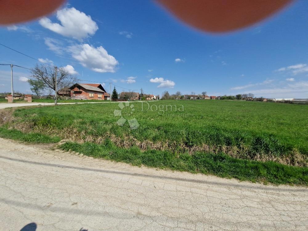 DIJANEŠ