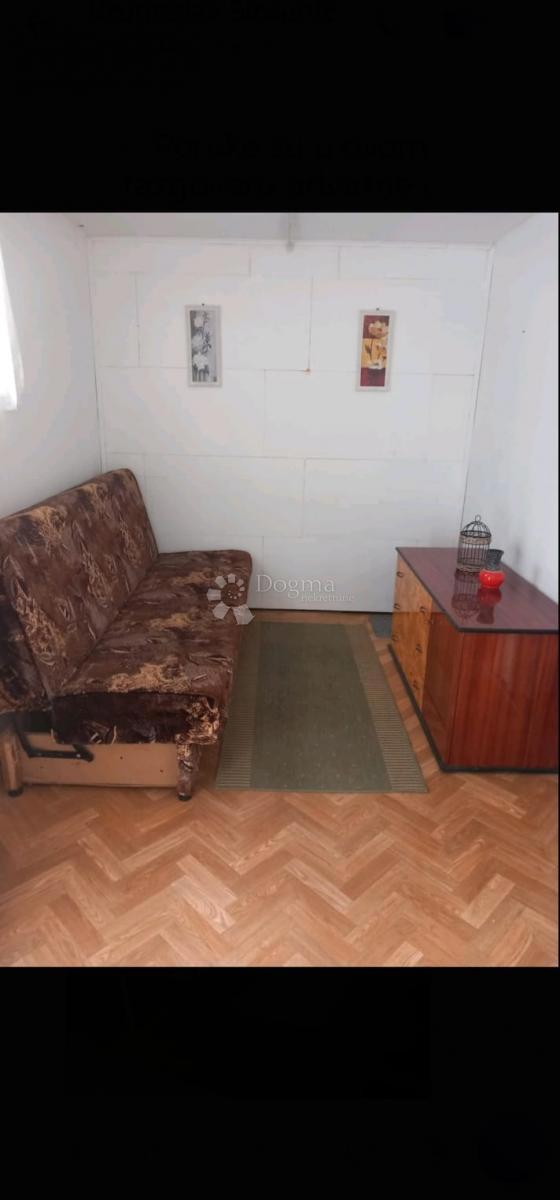 PAVIĆINI