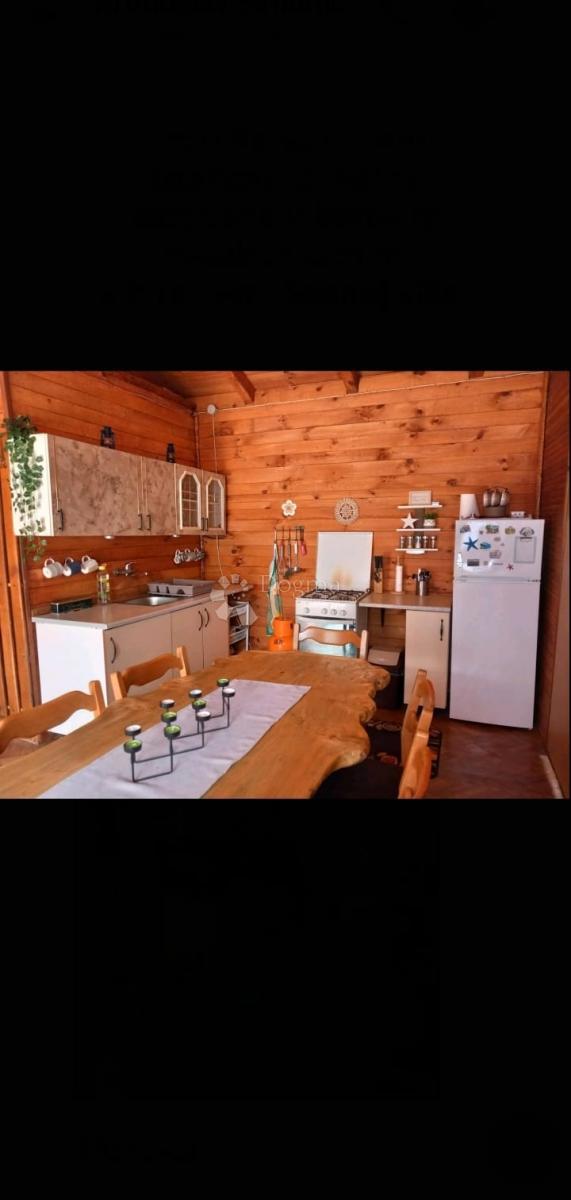 PAVIĆINI