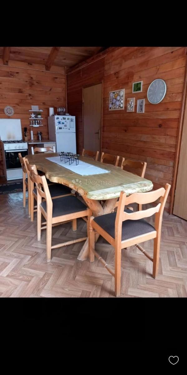 PAVIĆINI