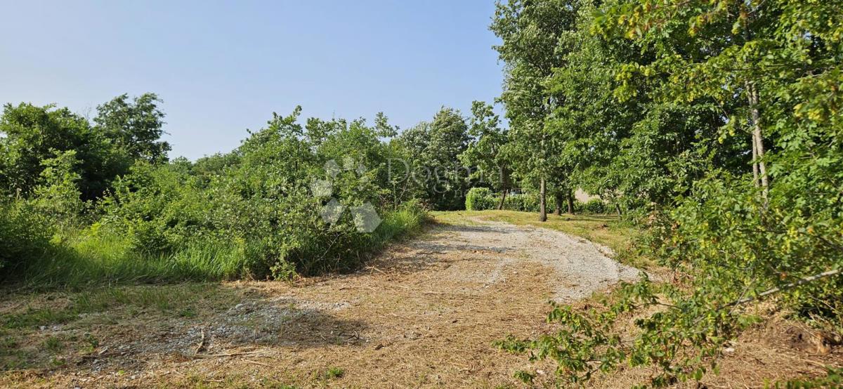 CUKRIĆI