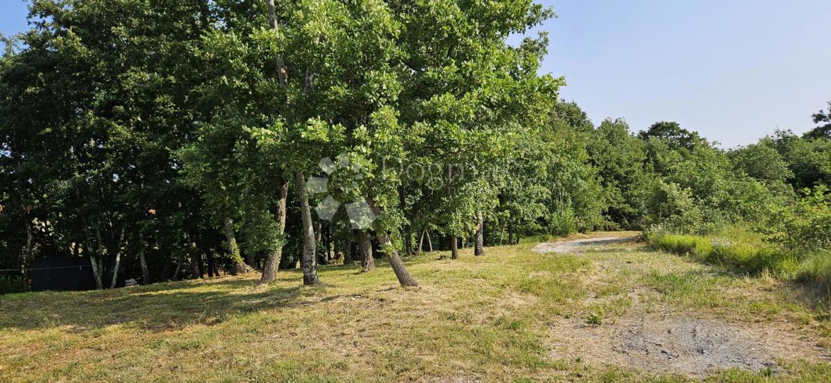 CUKRIĆI