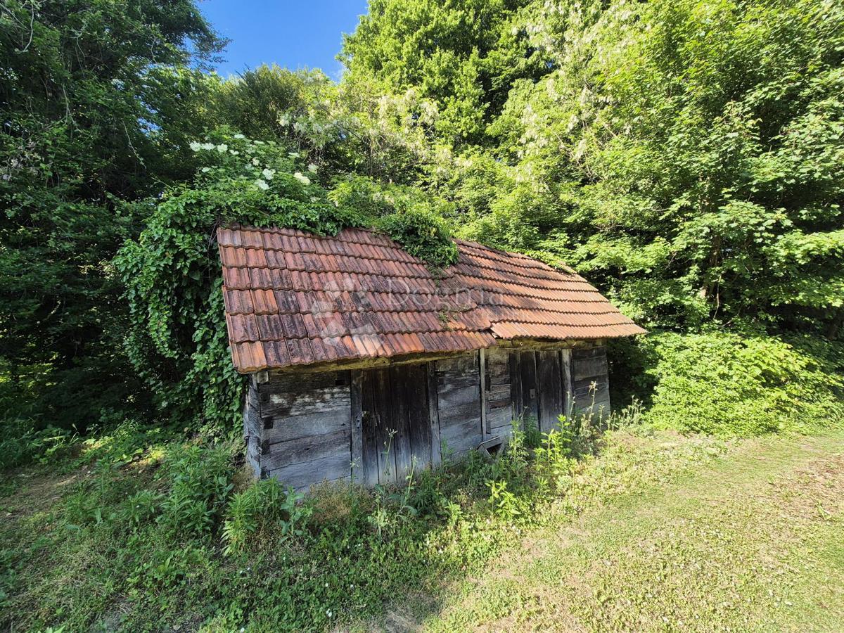 ZLEĆ