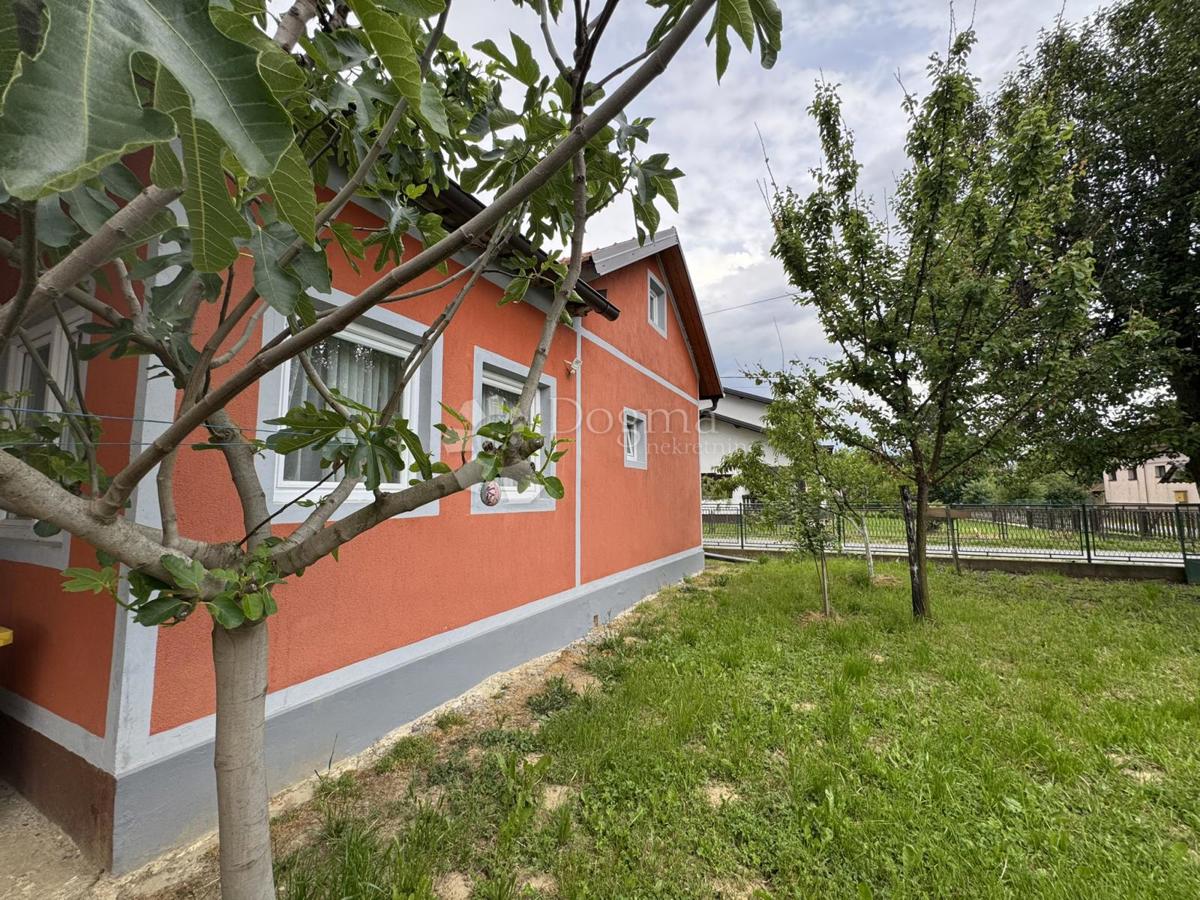 ŽDRALOVI