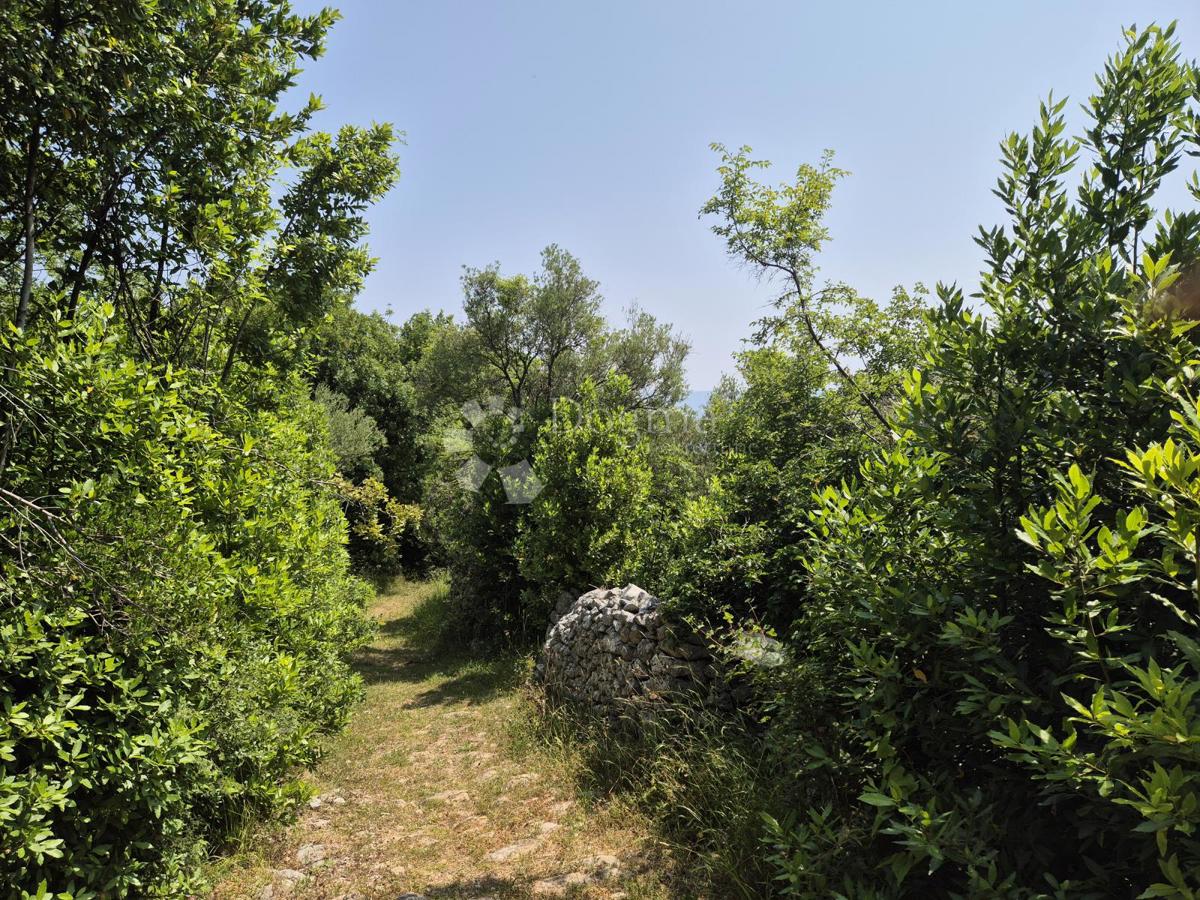 LABIN