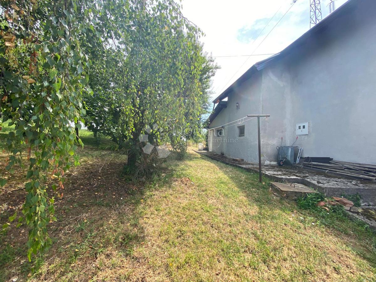 PODVINJE