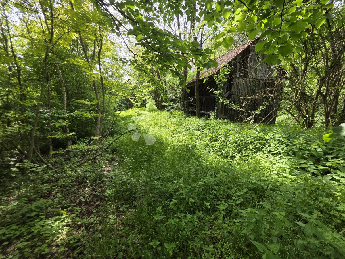 image 16