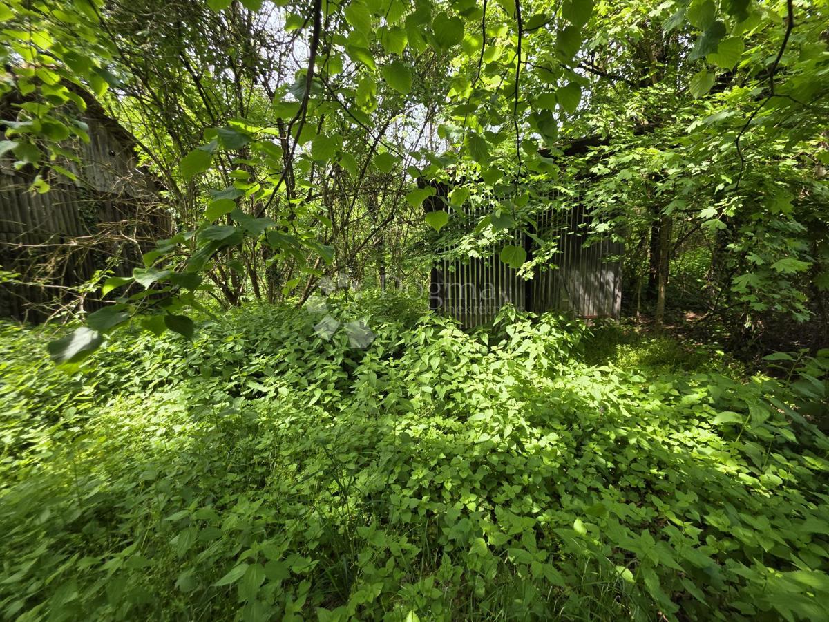 image 17