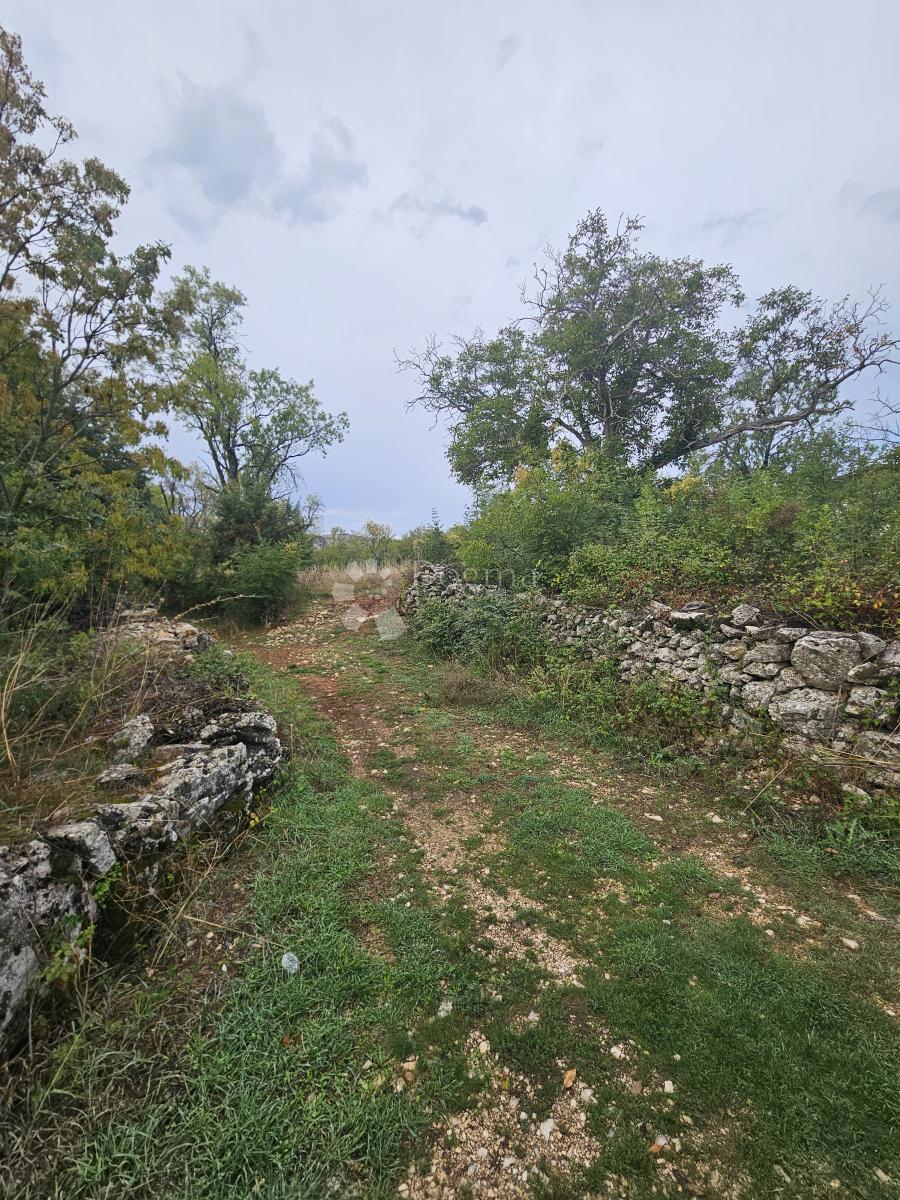 BRISTIVICA