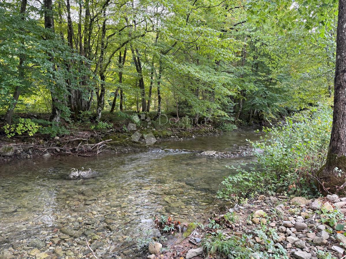 BRUŠANE