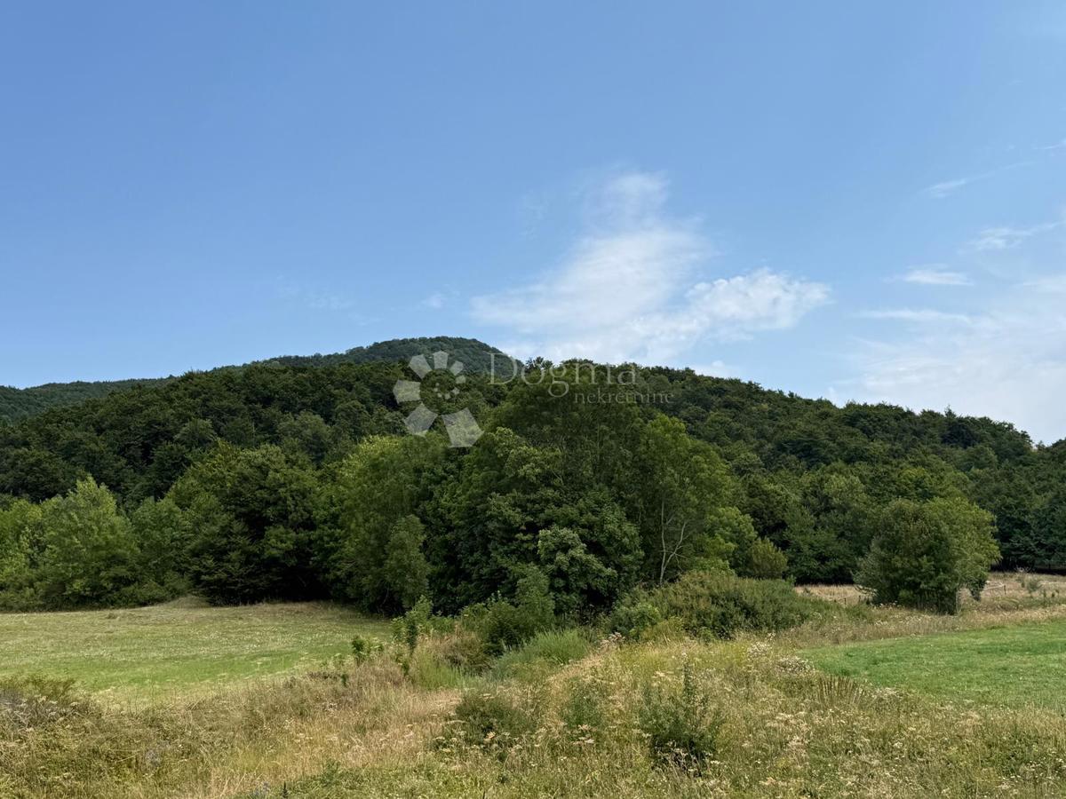 LIČKI OSIK