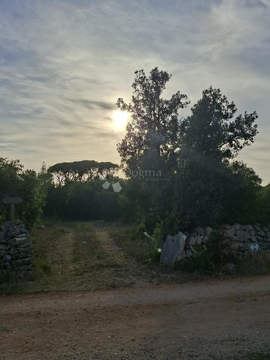 MOČIĆI