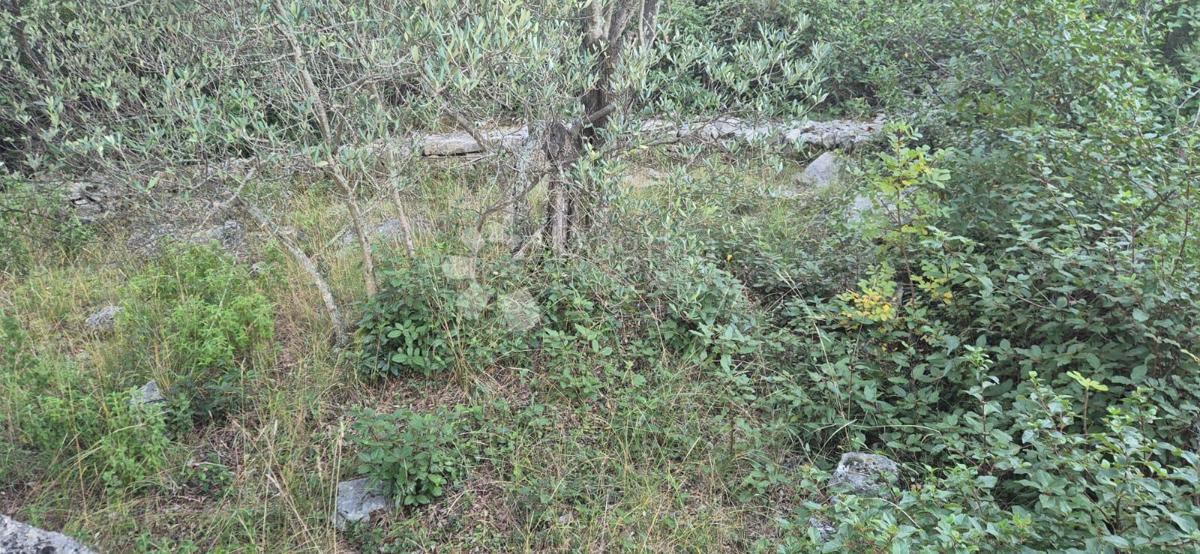 Terreno UGLJAN, 12.600 €