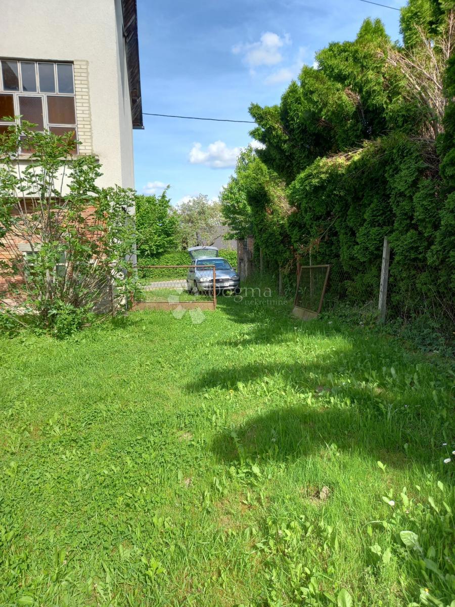 image 16