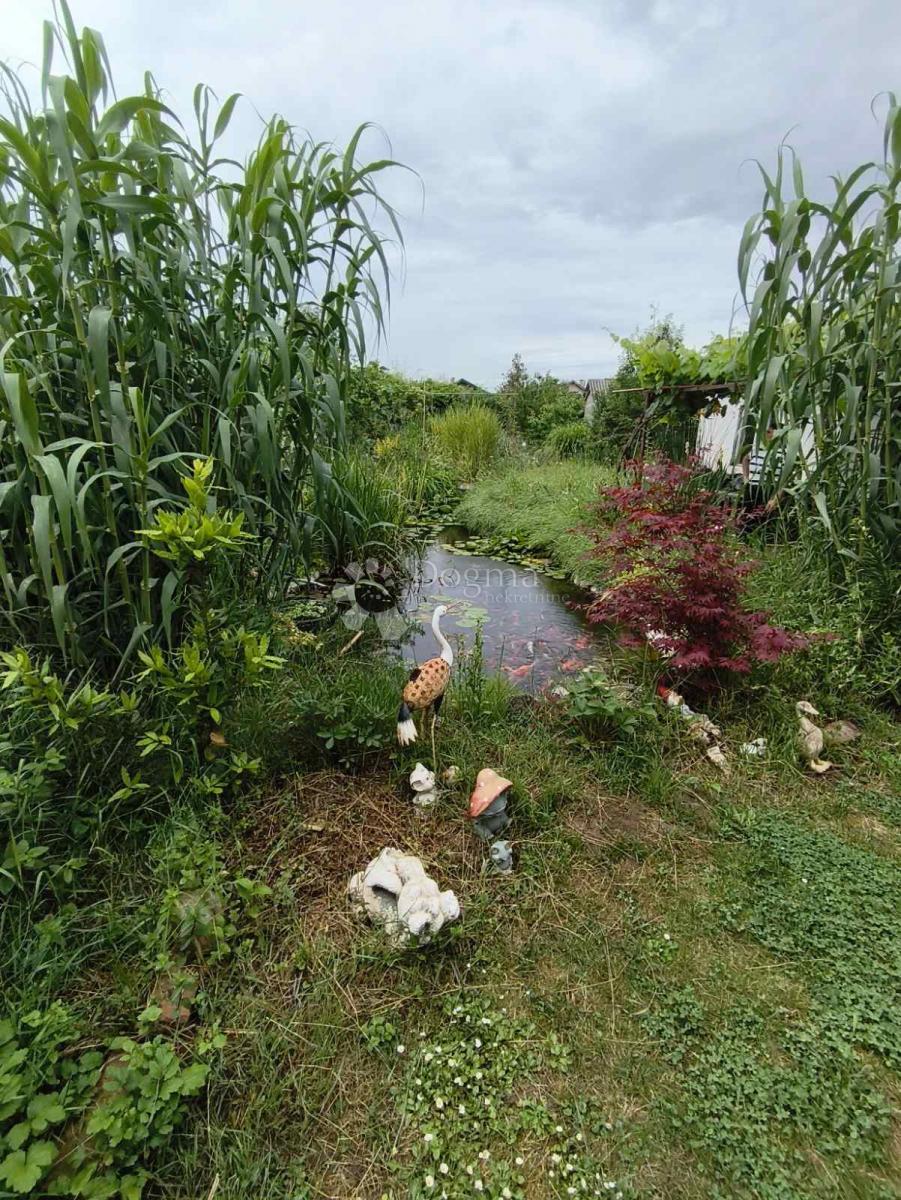 image 14