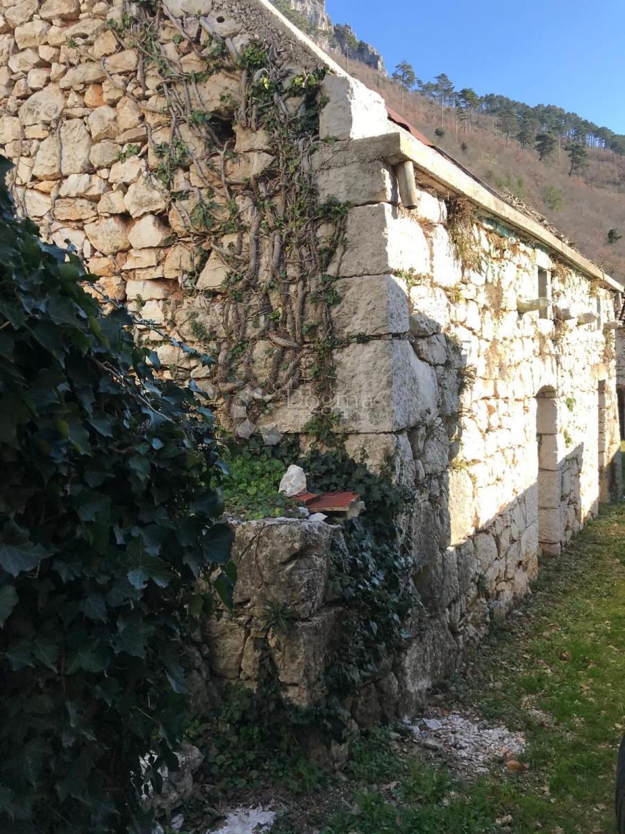 image 14