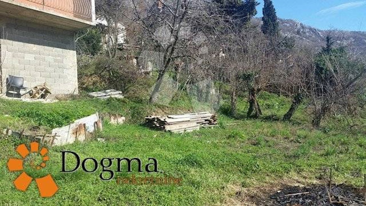 DRAGA
