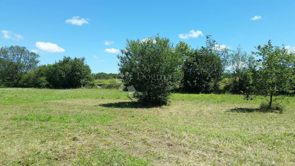 SVETVINČENAT