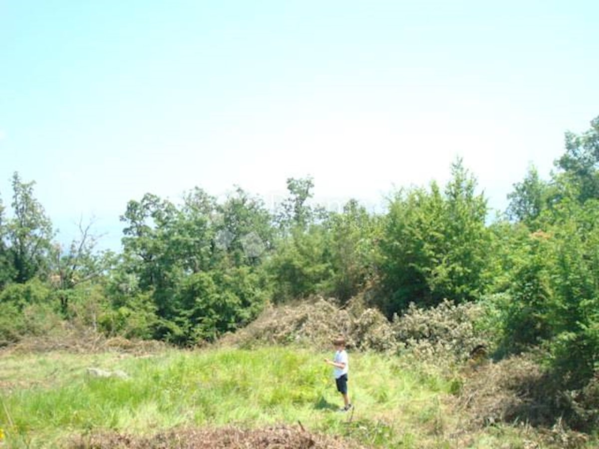 POBRI