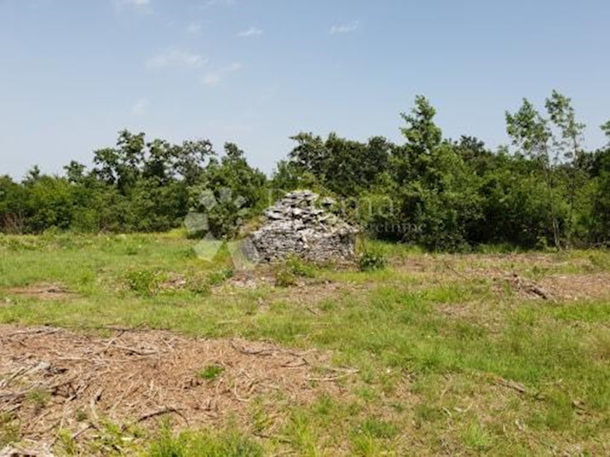SVETVINČENAT