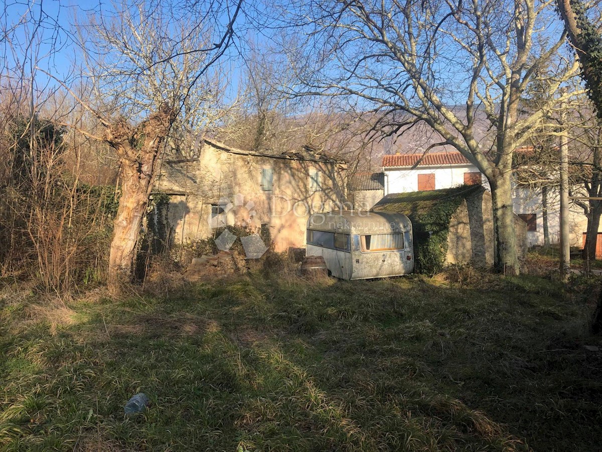 ŠUŠNJEVICA