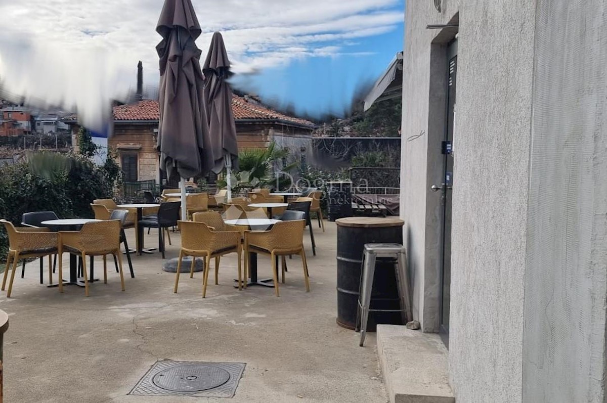 ŠKURINJE