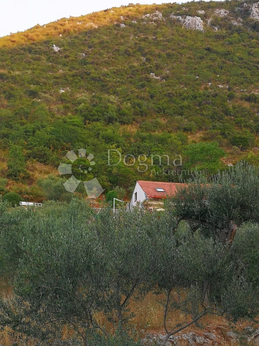 TRPANJ