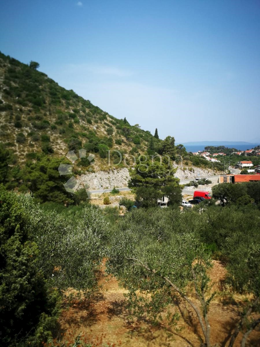 TRPANJ