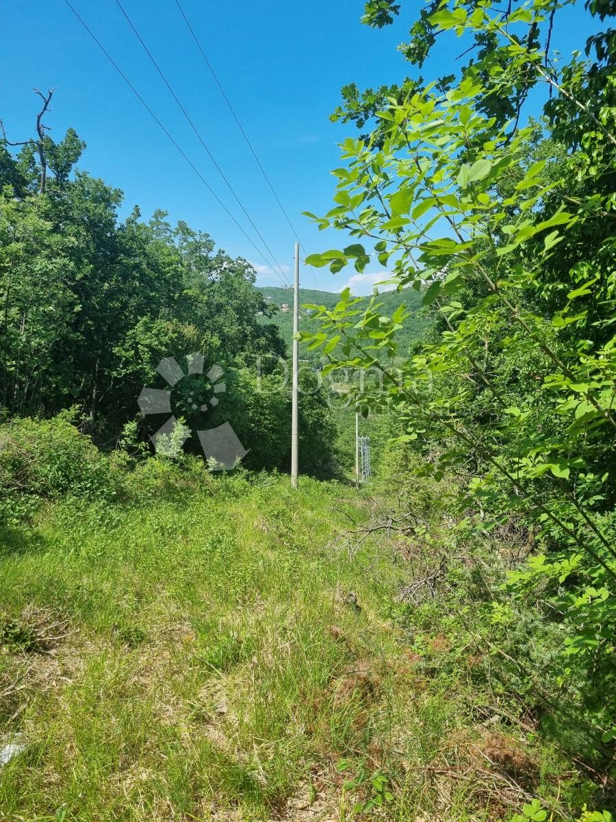 BRSEČ