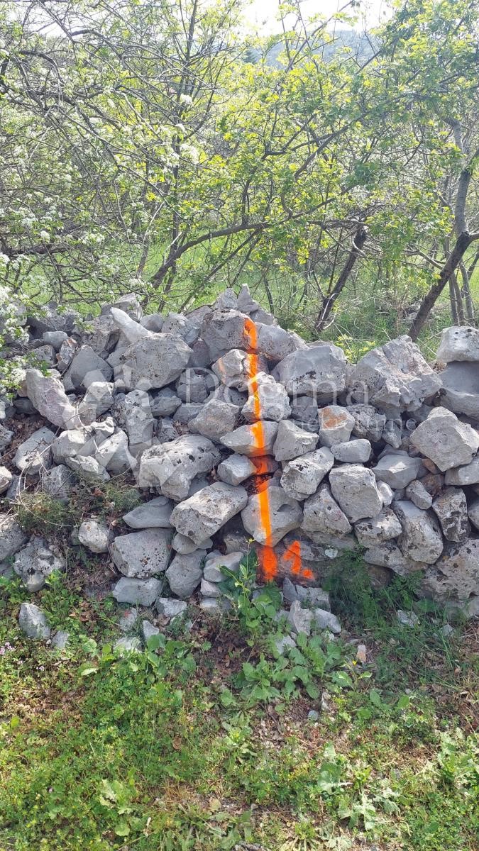 KLENOVICA