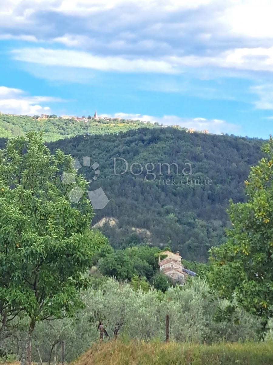 SOVINJAK