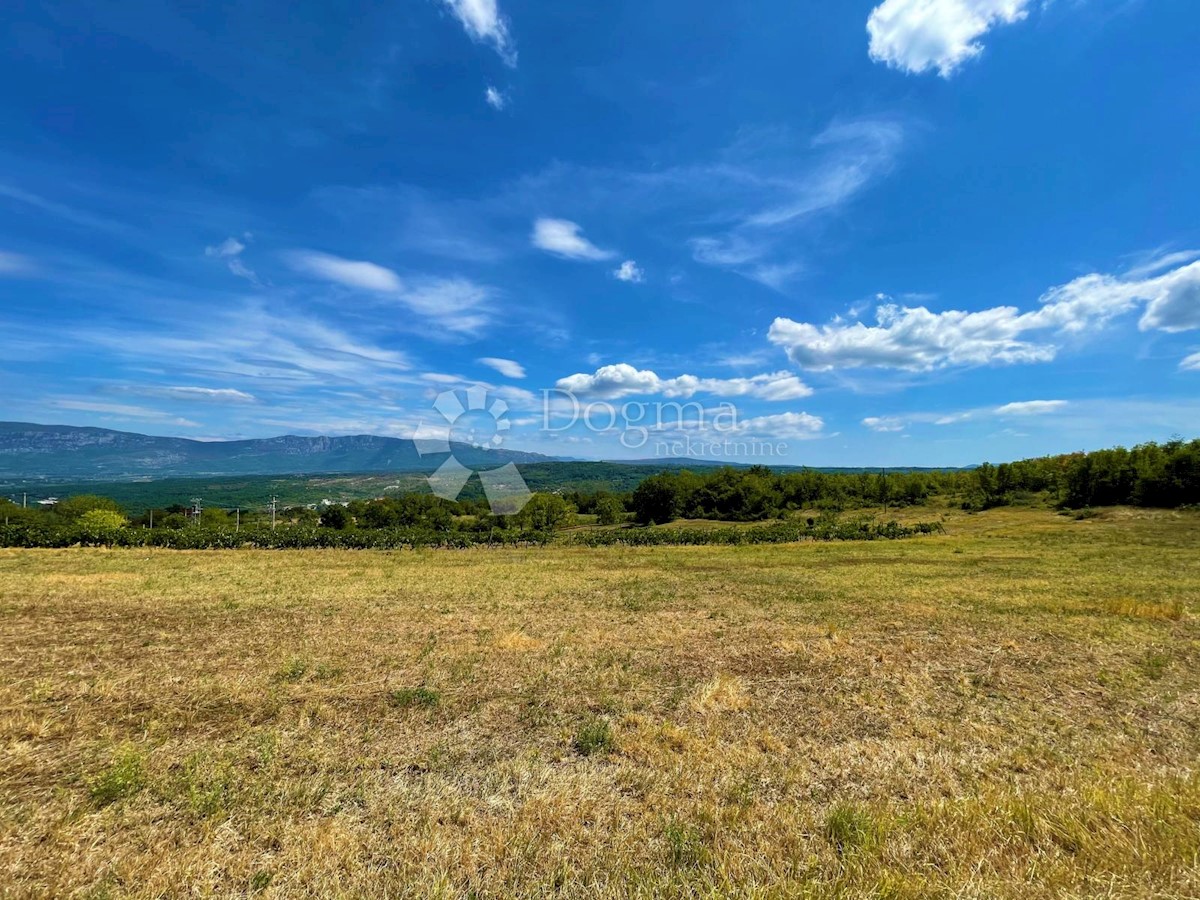 PIĆAN
