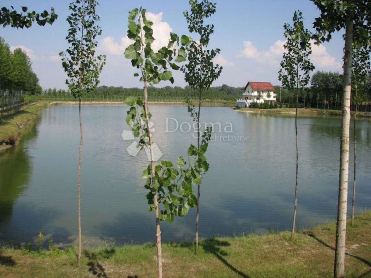GRABOVAC