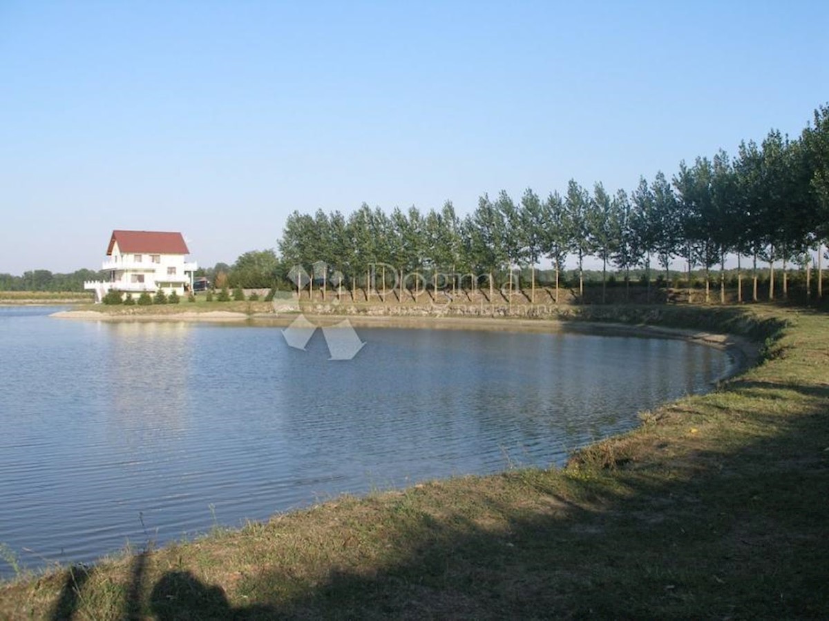 GRABOVAC