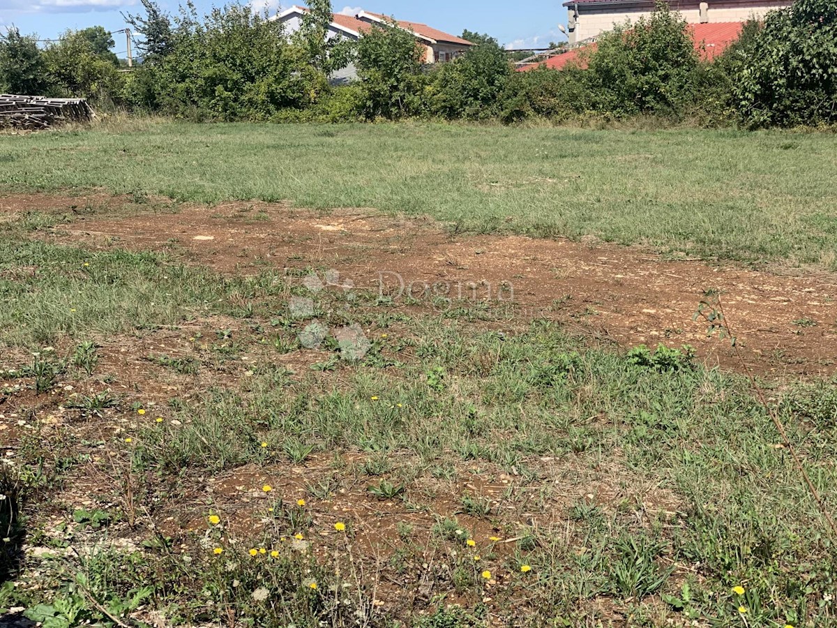 BLAŠKOVIĆI