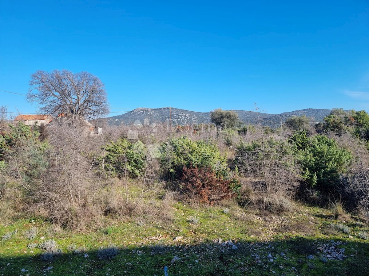 DUBRAVA KOD TISNA