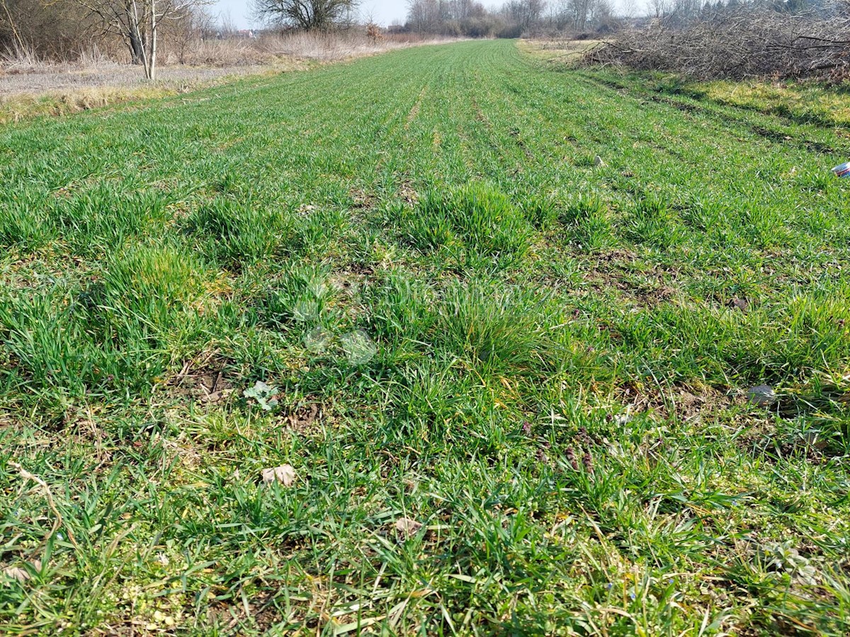 VARAŽDIN