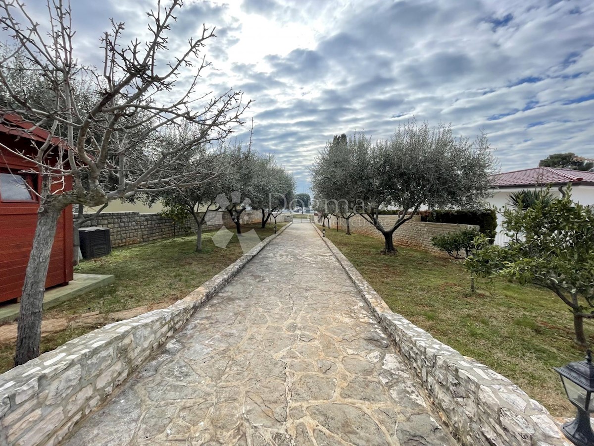 UMAG