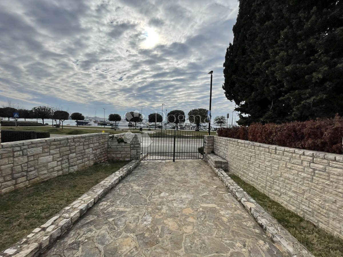 UMAG