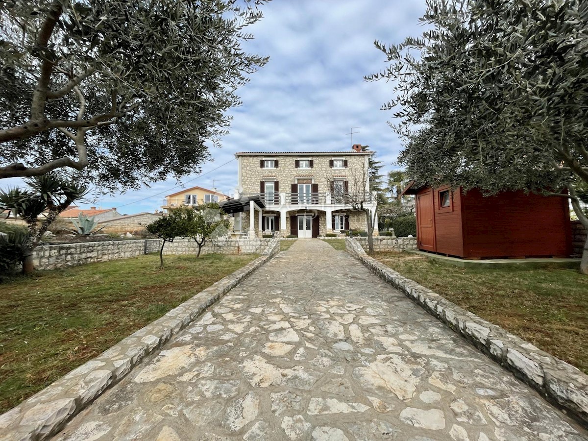 UMAG