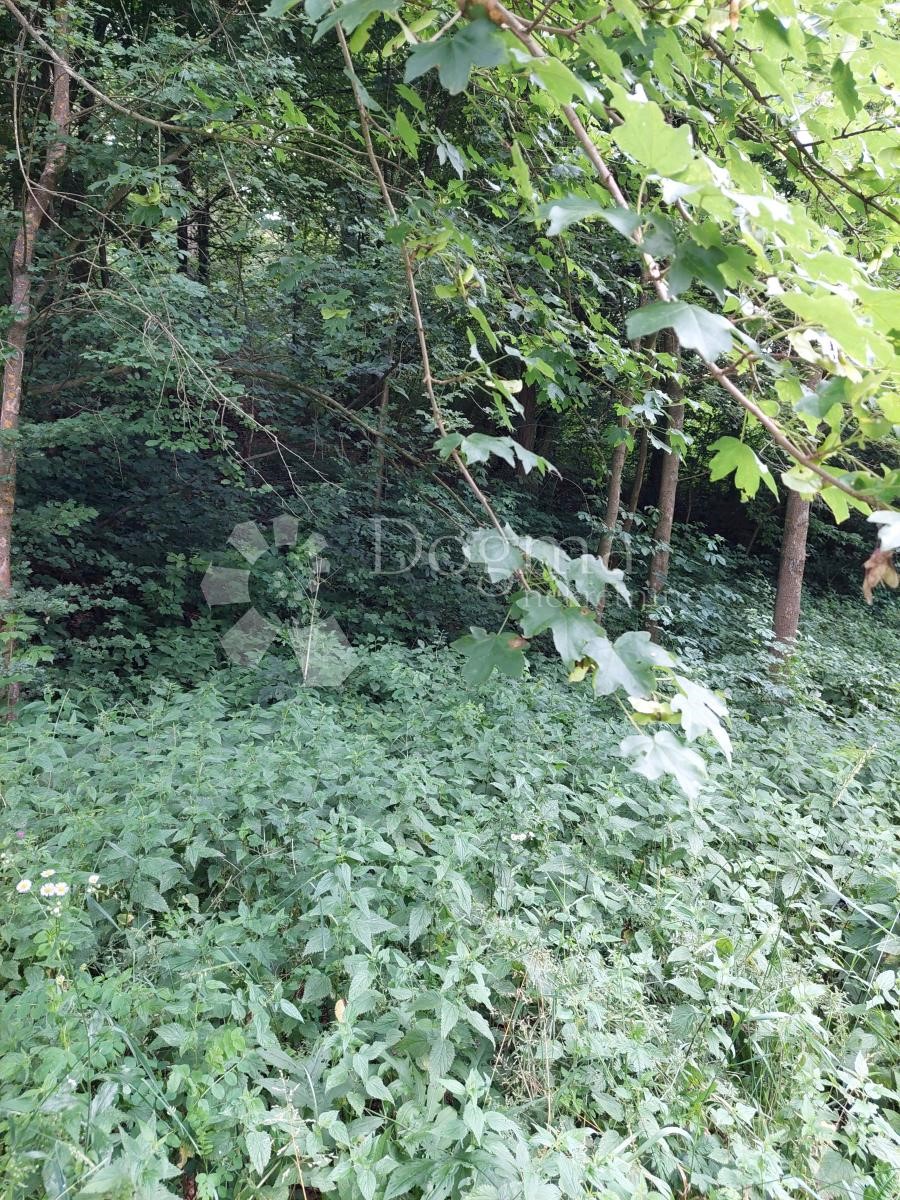 BELETINEC