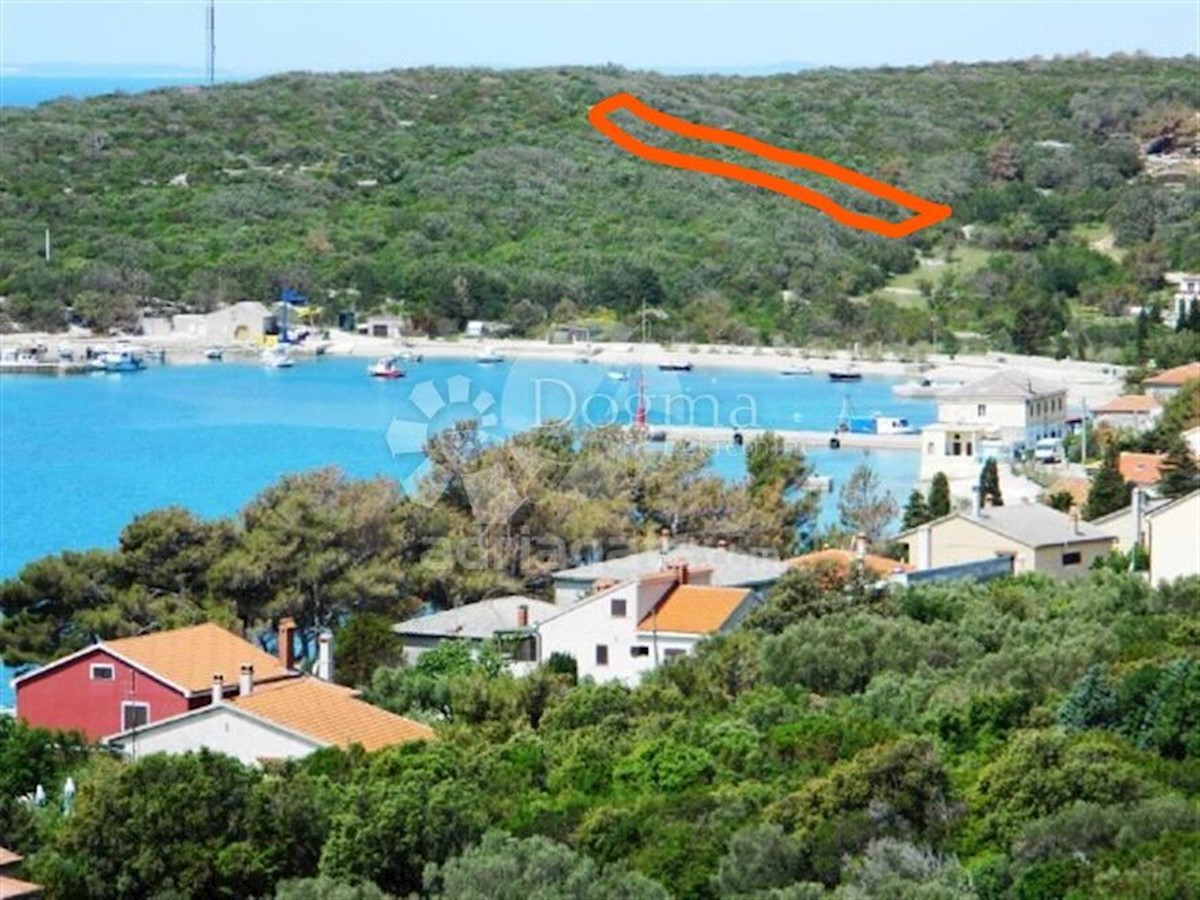 MARTINŠĆICA